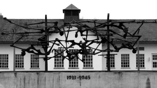 hp kzdachau